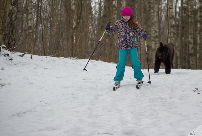 Фотография № 218724