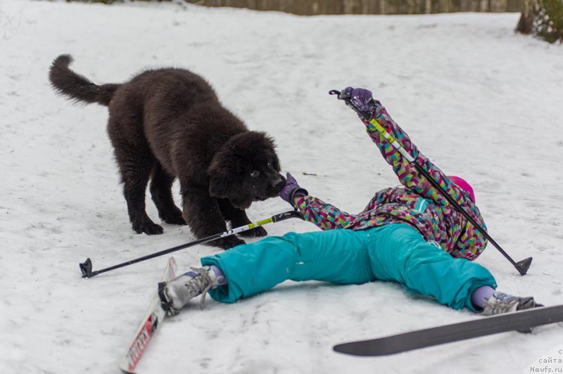 Фотография № 218727