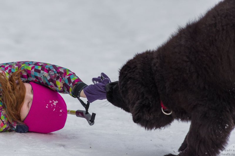 Фотография № 218728