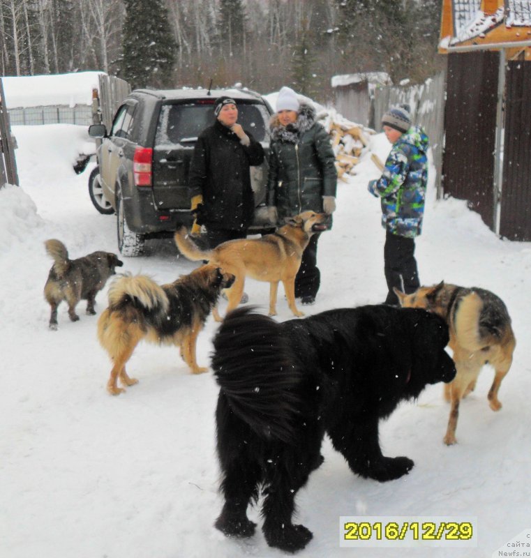 Фотография № 218745