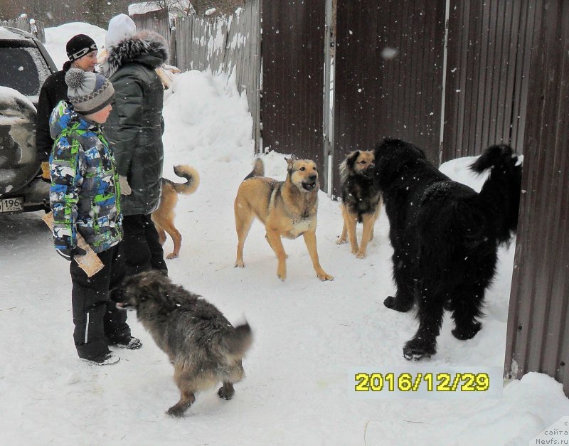 Фотография № 218746