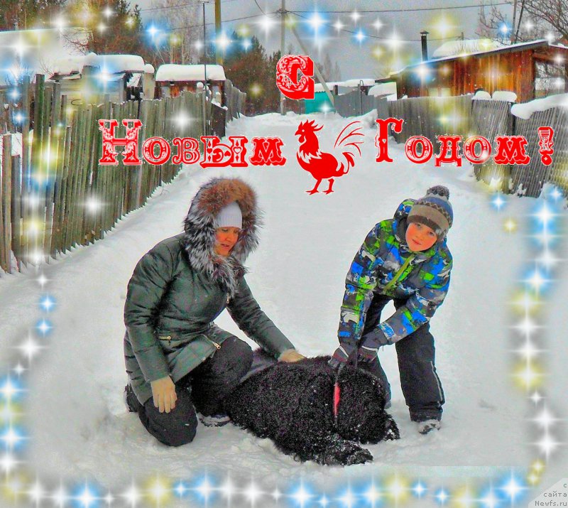 Фотография № 218750