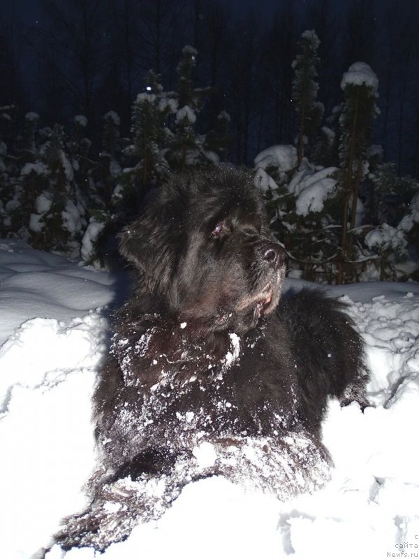 Фотография № 218768