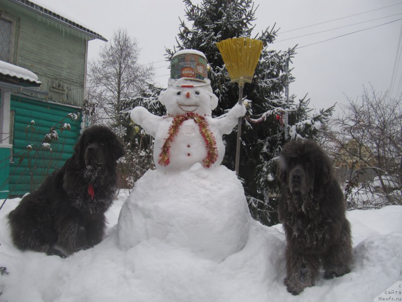 Фотография № 218834