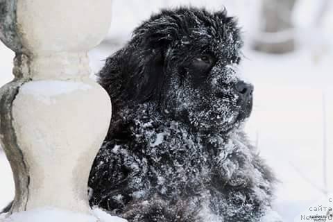 Фотография № 218845