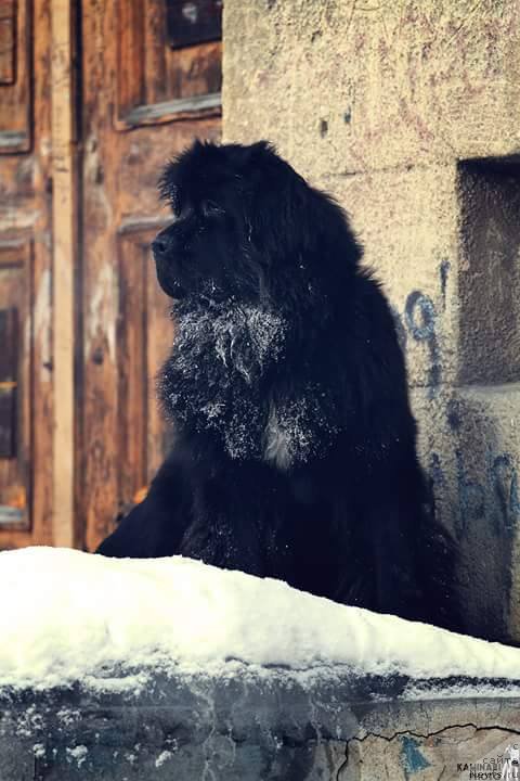 Фотография № 218862