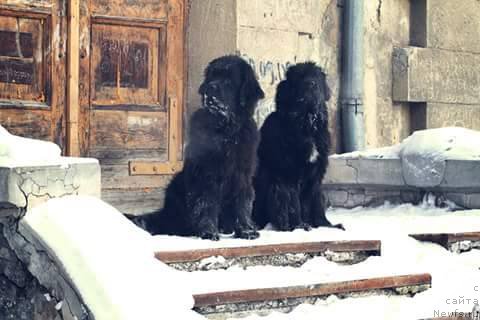 Фотография № 218865