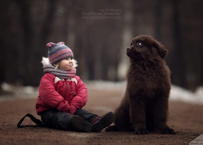 Фотография № 218891