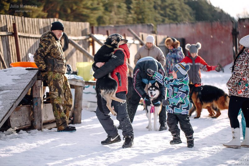 Фото: ньюфаундленд Predannyiy Drug (Преданный Друг)