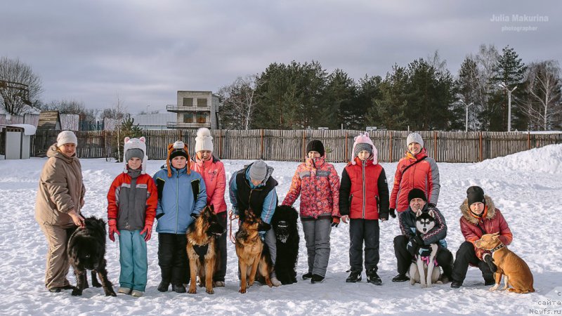 Фотография № 218905