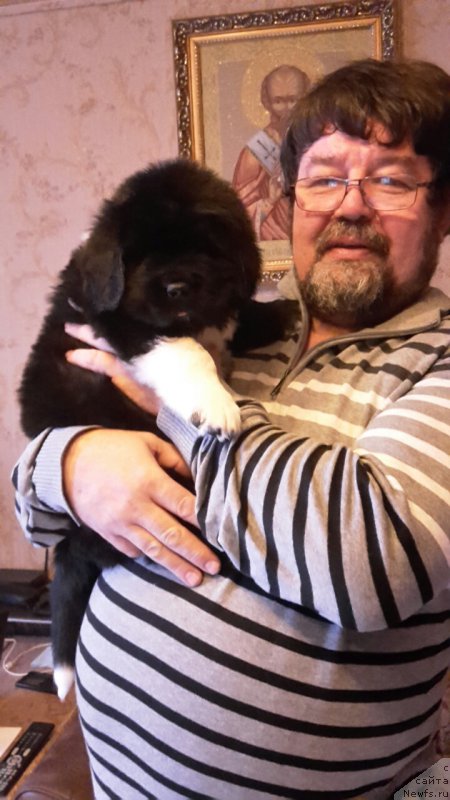 Фотография № 218925