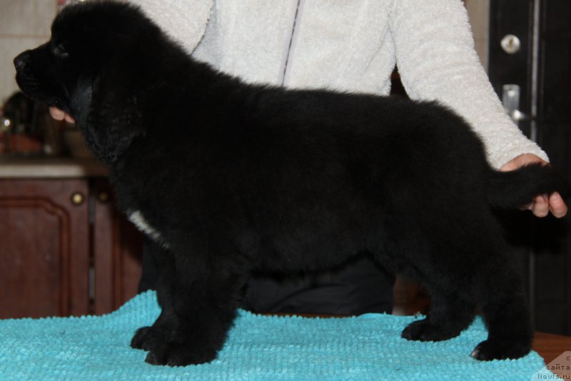 Фото: Аквиан Сонг Тесс