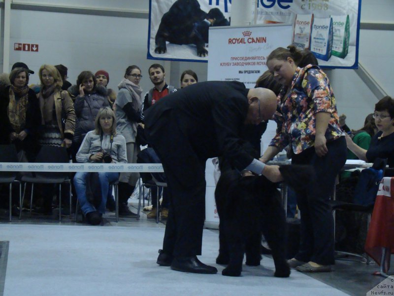 Фотография № 218933