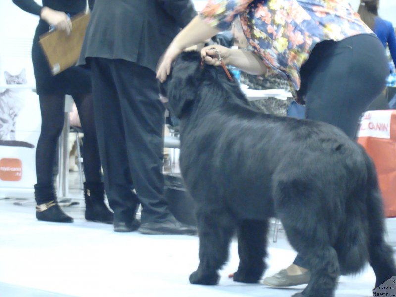 Фотография № 218935