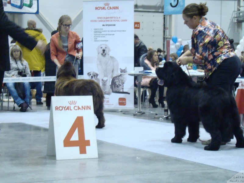 Фотография № 218936