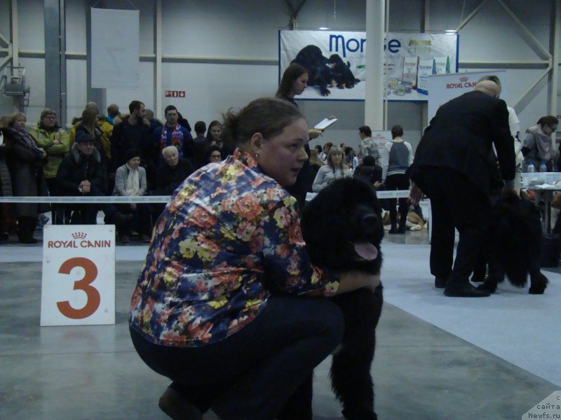 Фотография № 218938