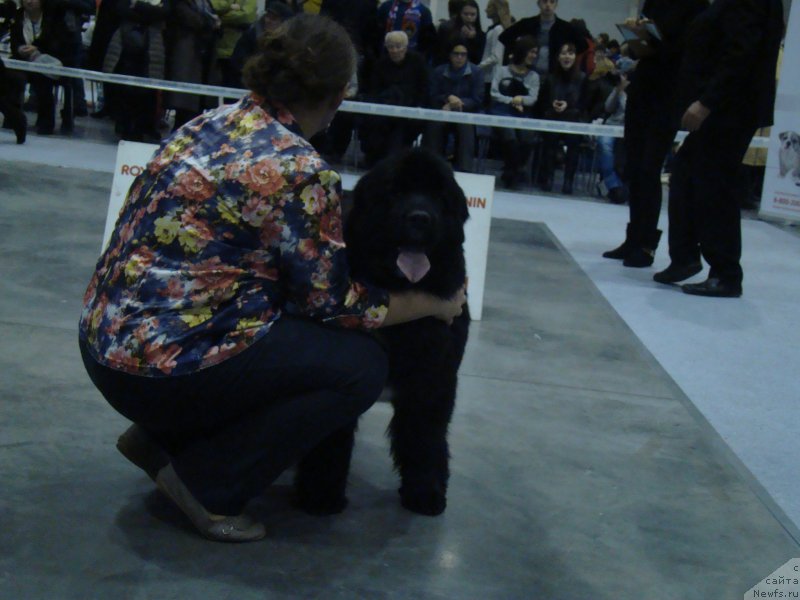 Фотография № 218939