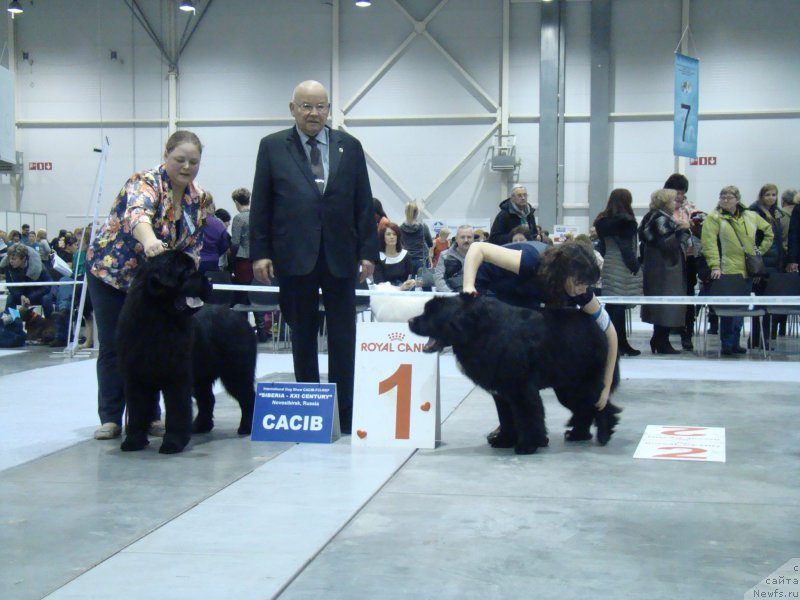 Фотография № 218946