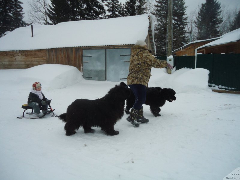 Фотография № 218948