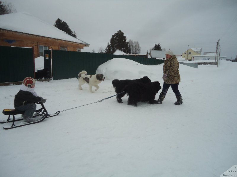 Фотография № 218949