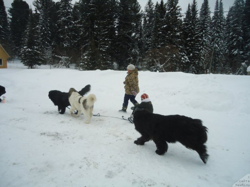 Фотография № 218954