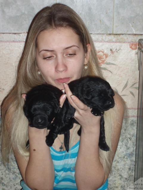 Фото: Aleksandra Kanunnikova (Александра Канунникова)