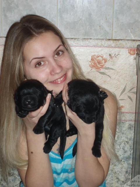 Фото: Aleksandra Kanunnikova (Александра Канунникова)