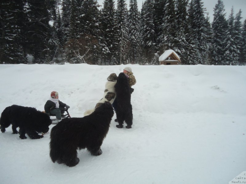 Фотография № 218977