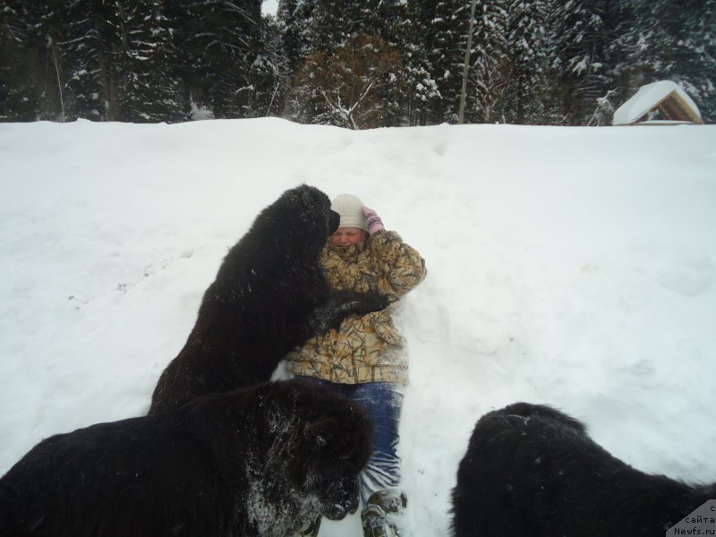 Фотография № 218979