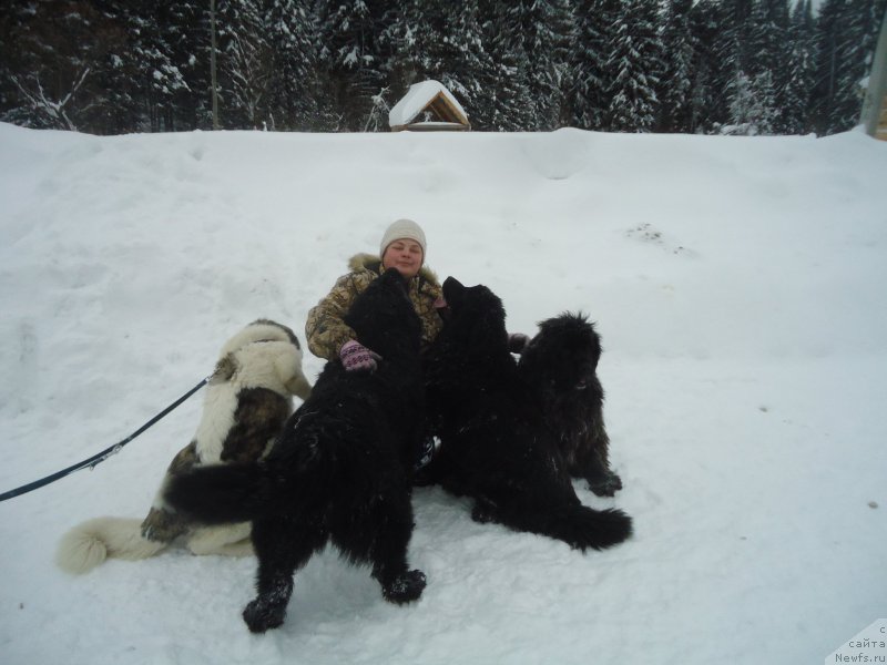 Фотография № 218981