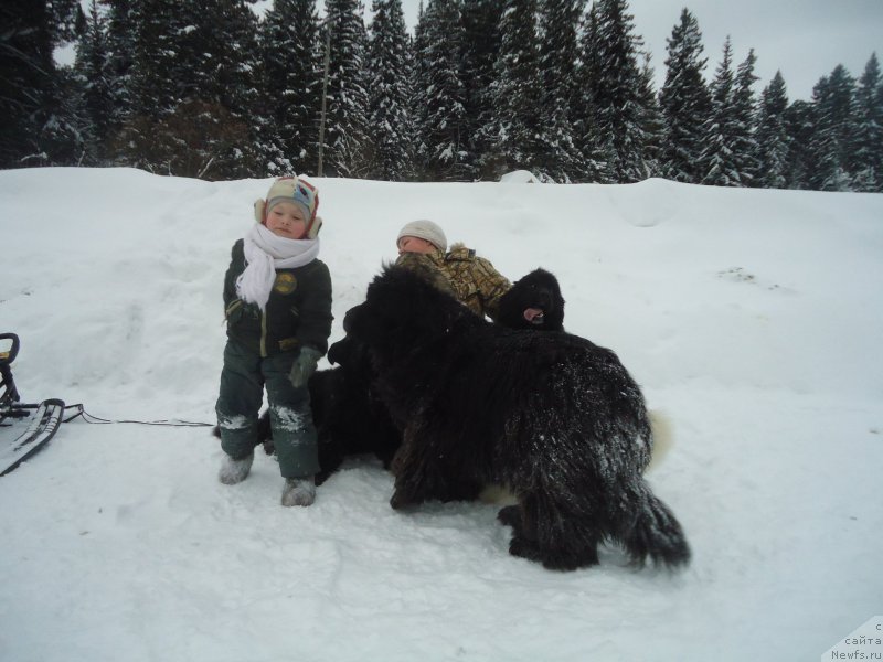 Фотография № 218983