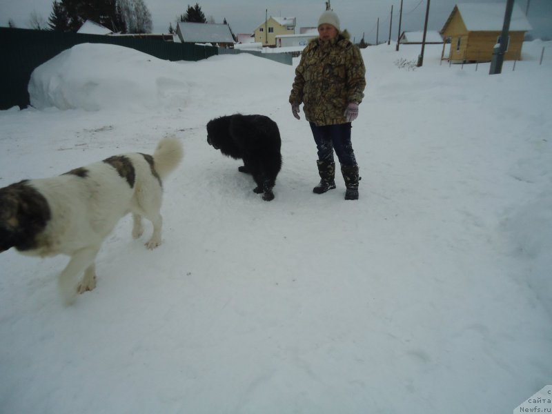 Фотография № 218985