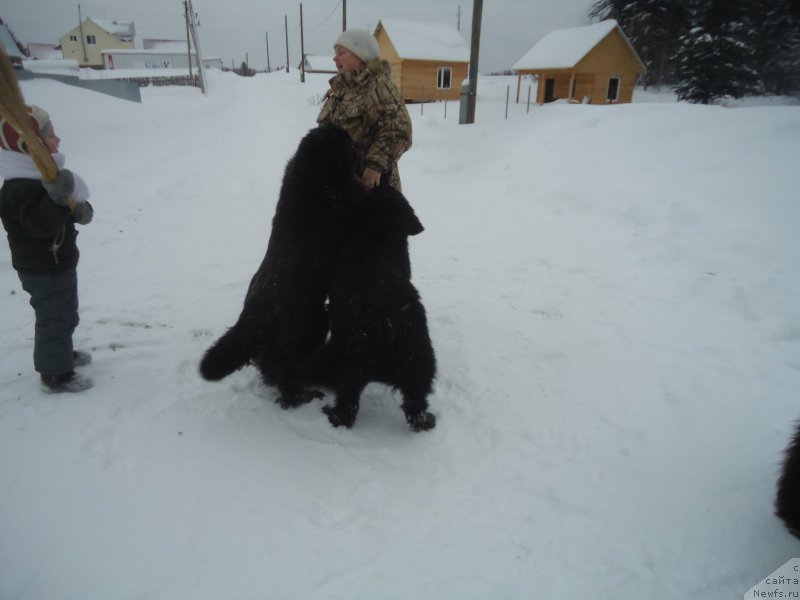 Фотография № 218986