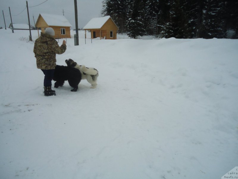 Фотография № 218987