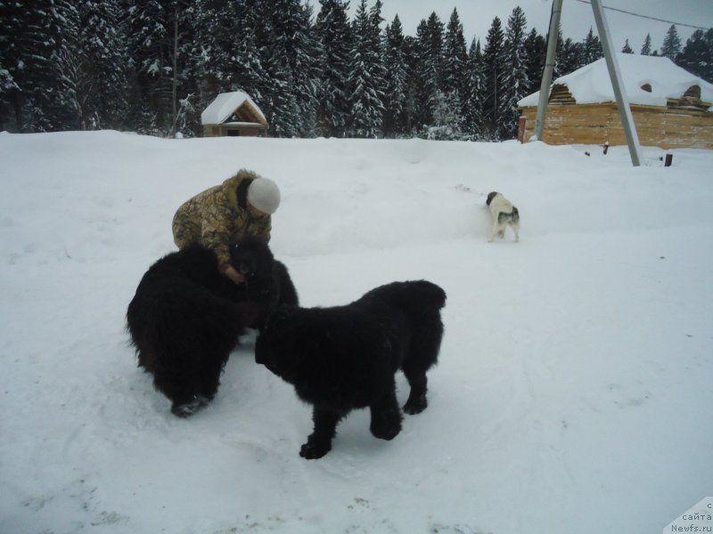 Фотография № 218988