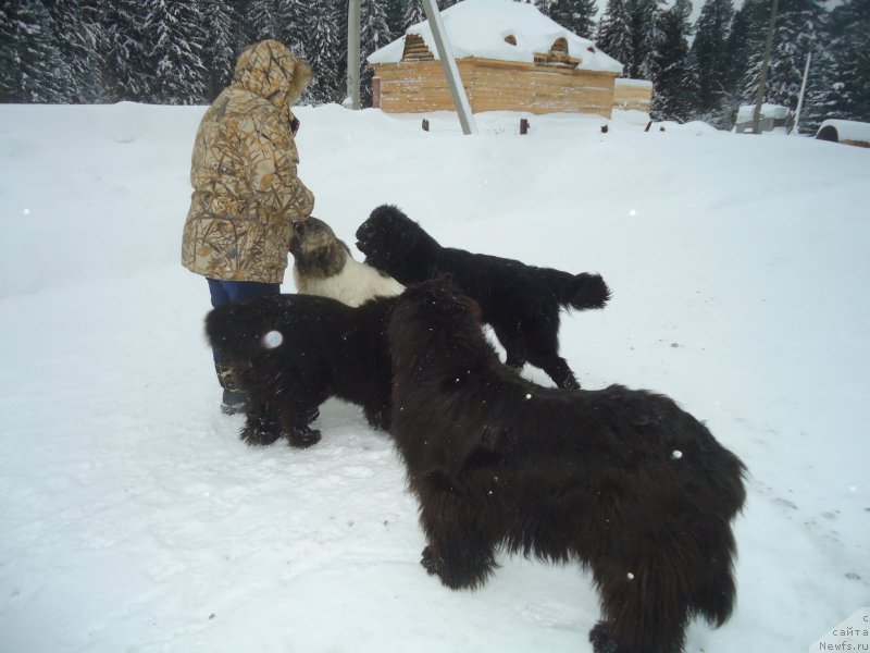 Фотография № 218990