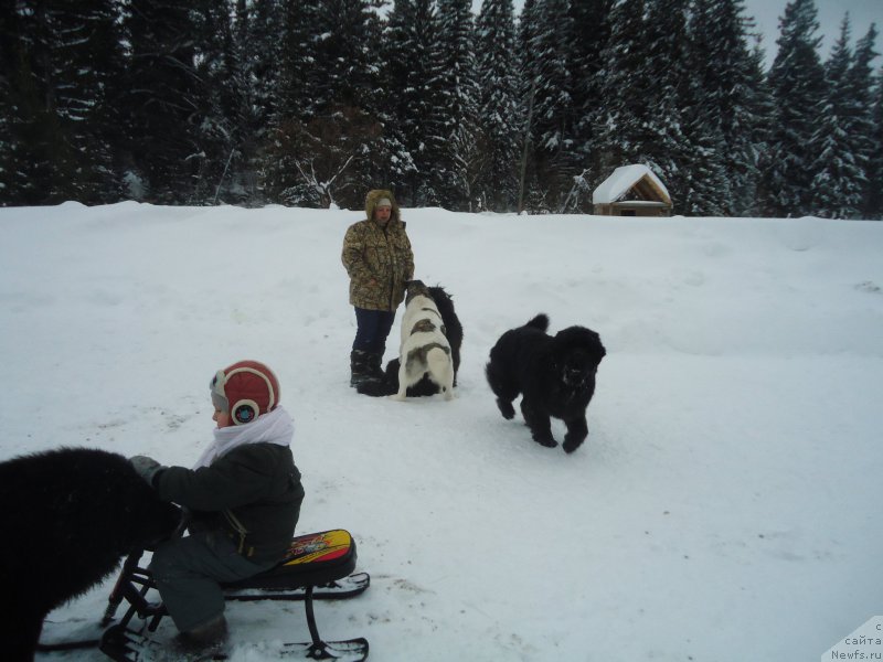 Фотография № 218993