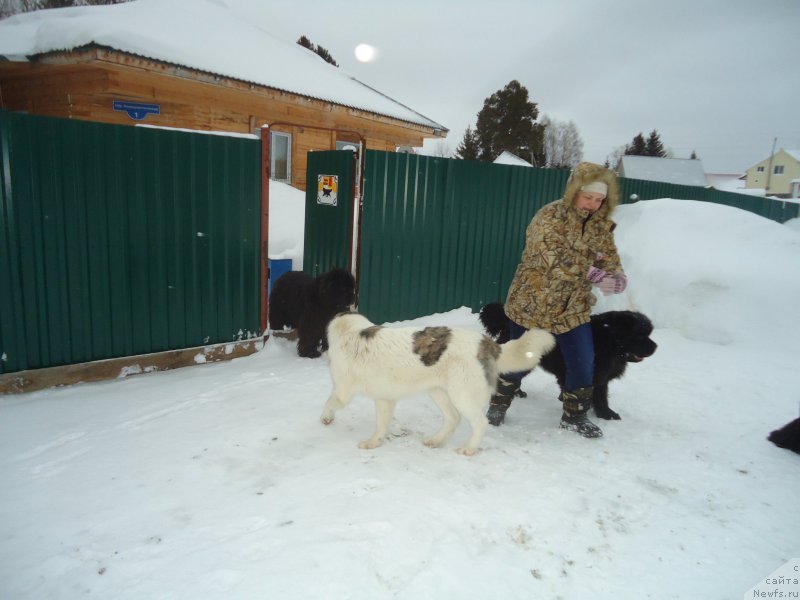 Фотография № 218994