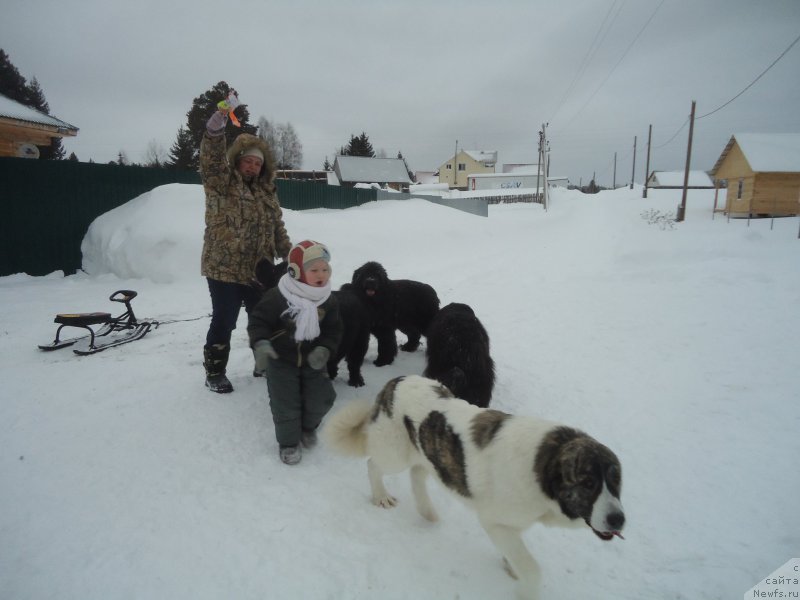 Фотография № 218996