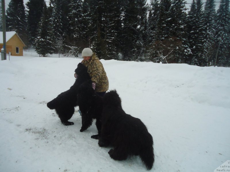 Фотография № 219003