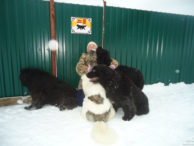 Фотография № 219009