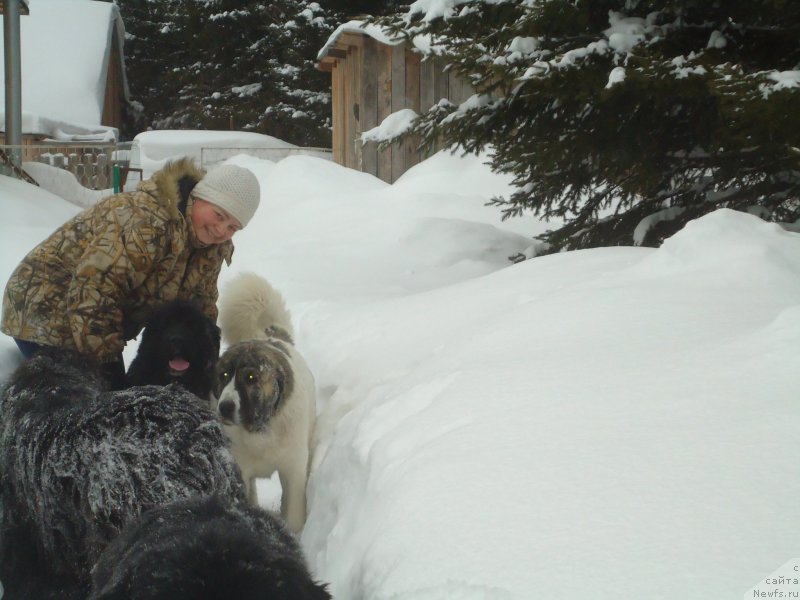 Фотография № 219024