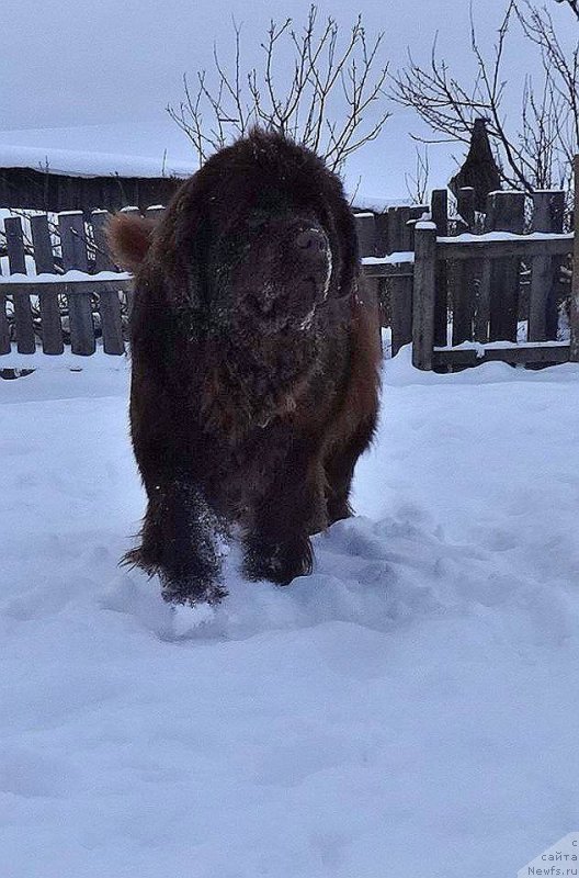 Фотография № 219061