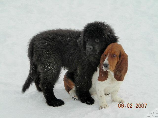 Фотография № 2191