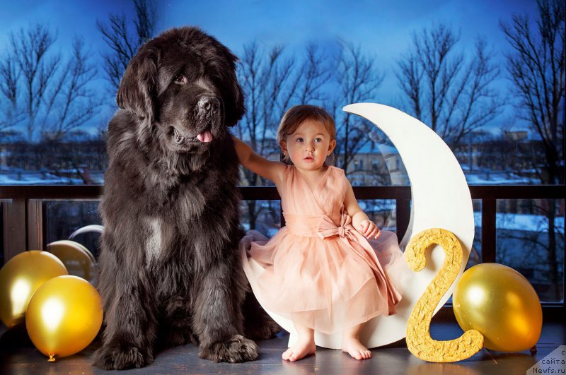 Фотография № 219146