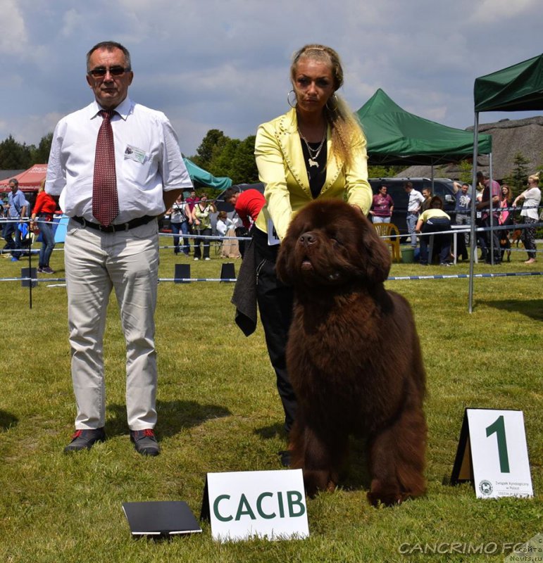 Фотография № 219338