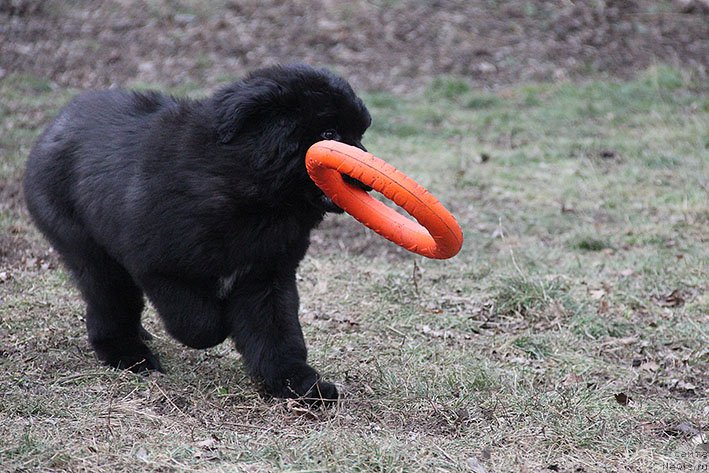 Фотография № 219355