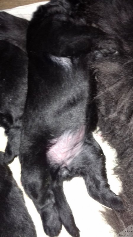 Фотография № 219360