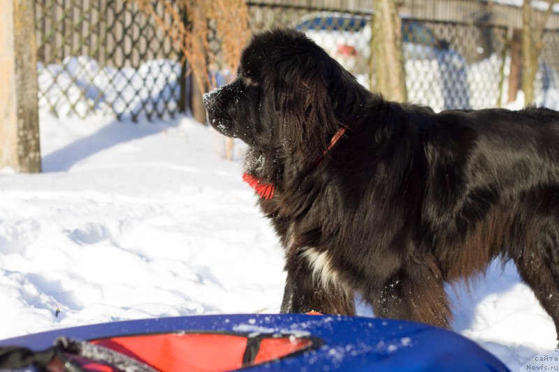 Фотография № 219450