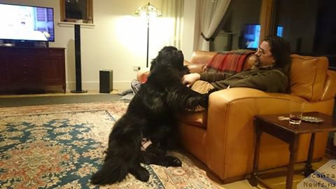 Фотография № 219473